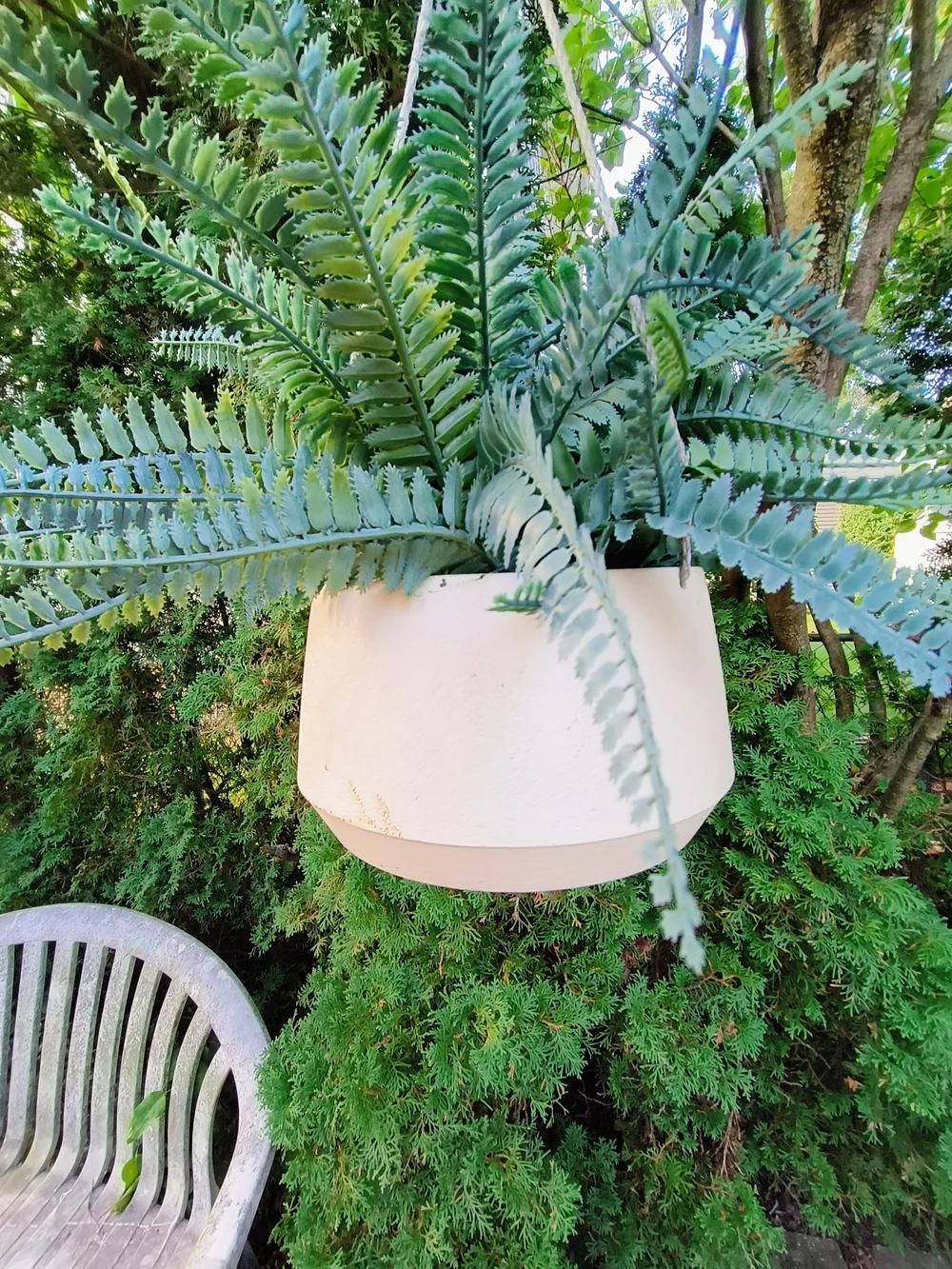 Hanging White Planter with Green Fern Accent 11 X 14 X 16 Artificial